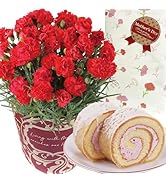 Amazon.co.jp: 花のギフト社 母の日 花 鉢植え ブーゲンビリア